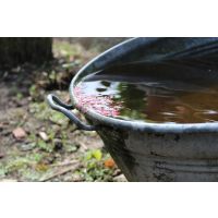 5 makkelijke manieren om regenwater duurzaam op te vangen