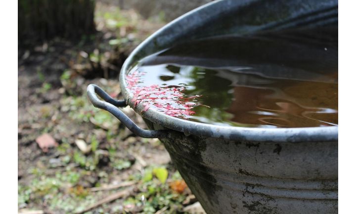 5 makkelijke manieren om regenwater duurzaam op te vangen
